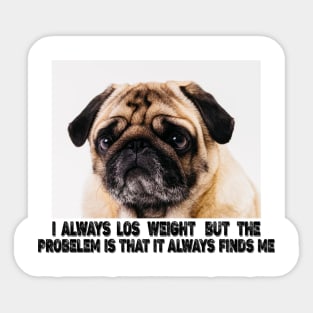 funny losing weight dog meme Sticker